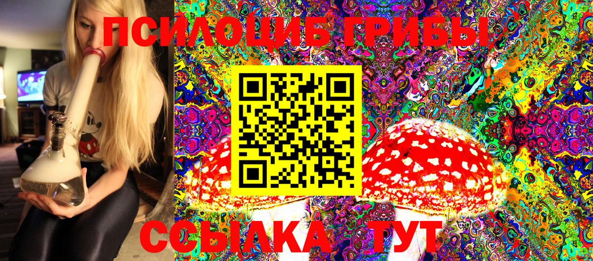 Псилоцибиновые грибы Psilocybine cubensis Пугачёв