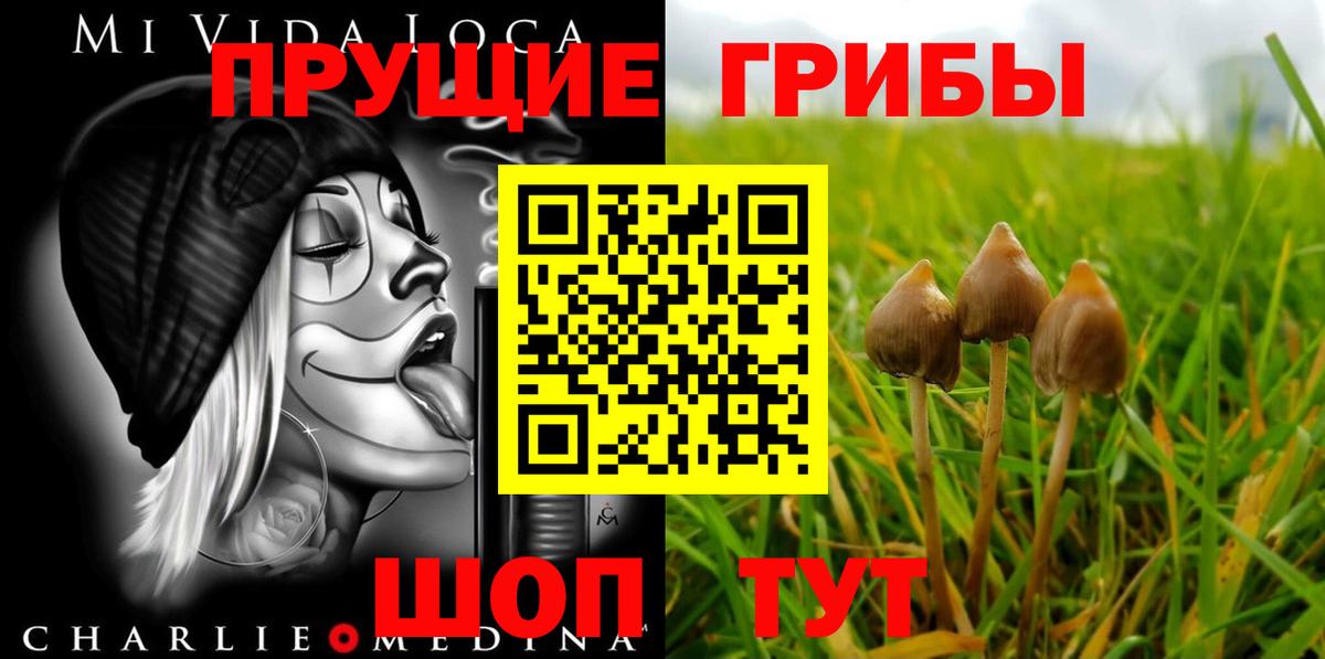 Псилоцибиновые грибы MAGIC MUSHROOMS  Вход с VPN  Пугачёв 